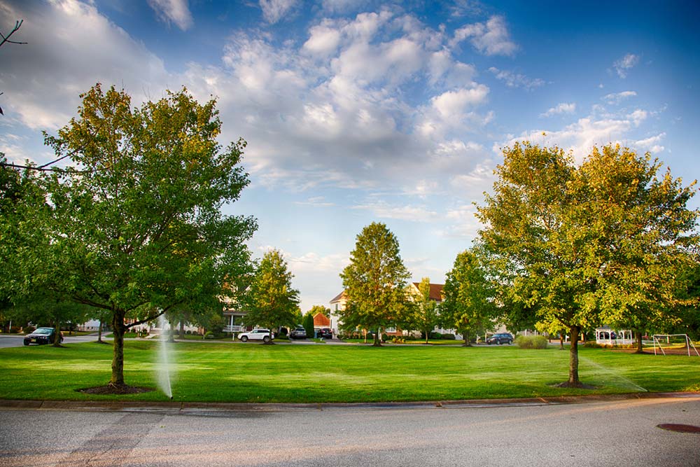 Top 3 Outdoor Adventures in New Jersey | Royal Coachman