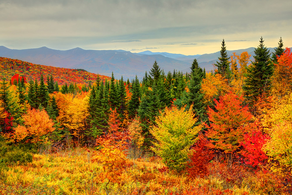 The Best Places To See Fall Foliage In New Jersey Royal Coachman 