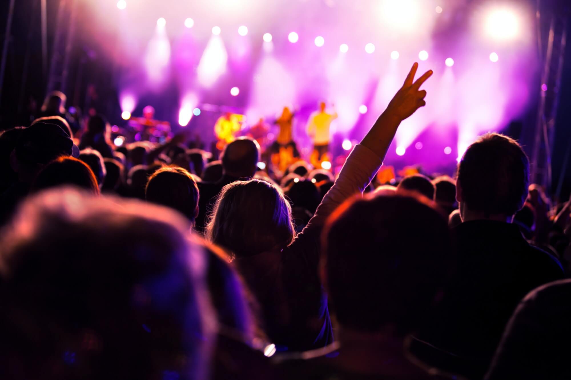 concert-transportation-royal-coachman-limo-service-group-transportation