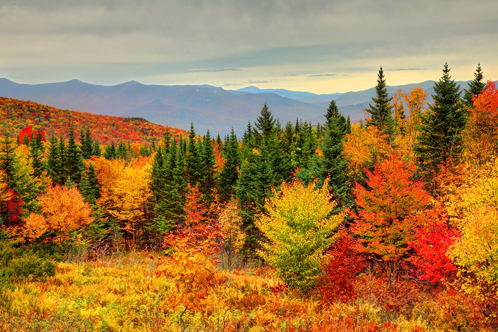 The Best Places to See Fall Foliage in New Jersey Royal Coachman